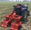 Ảnh của Máy xới đất vun mía PK3-VM2, Làm cỏ Vun ngô 2 hàng