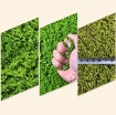 Ảnh của Máy băm cỏ mịn BM-1.0T, Máy Băm nghiền cỏ siêu mịn cho Gia cầm Gia súc