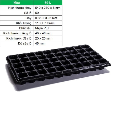 Ảnh của Khay nhựa ươm cây 50 lỗ, Vỉ ươm hạt giống, Khay nhựa ươm hạt chuyên dụng cho cây bạch đàn, keo
