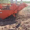 Ảnh của Máy Thu Hoạch Khoai Mì 2 Hàng – Máy Đào Củ Sắn Có Sàng Tách Đất, Treo 3 Điểm