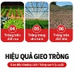 Ảnh của Máy trồng tỏi 6 hàng Diesel MTT285-6H tự hành, có ghế ngồi, máy trồng hành củ