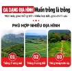 Ảnh của Máy trồng tỏi 6 hàng Diesel MTT285-6H tự hành, có ghế ngồi, máy trồng hành củ