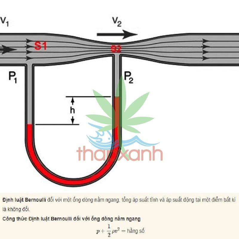 Mô tả định luật Bernoulli