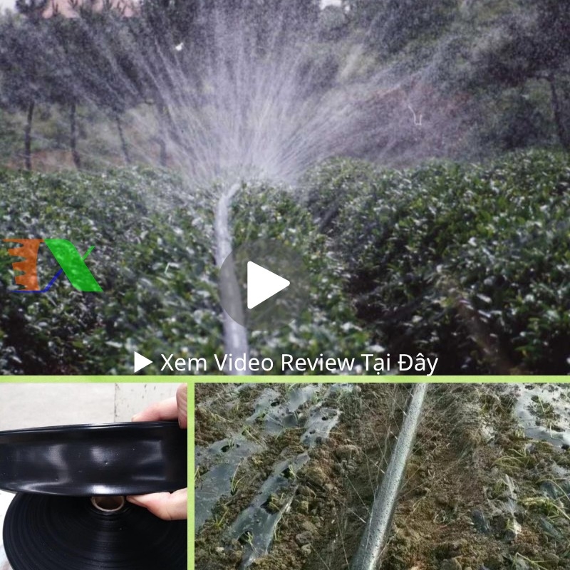 Dây tưới phun mưa Tháp Xanh 