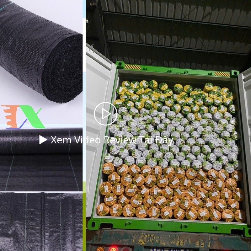 bạt phủ chống cỏ Tháp Xanh 