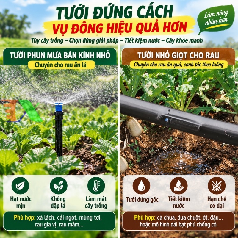 Dây tưới Tháp Xanh