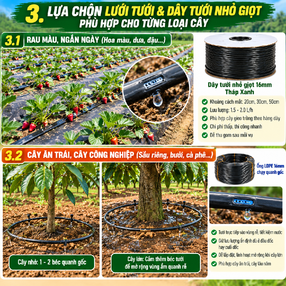 hệ thống tưới nhỏ giọt