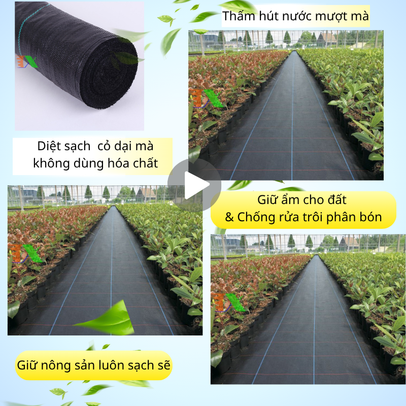 Bạt Phủ Cỏ Tháp Xanh 