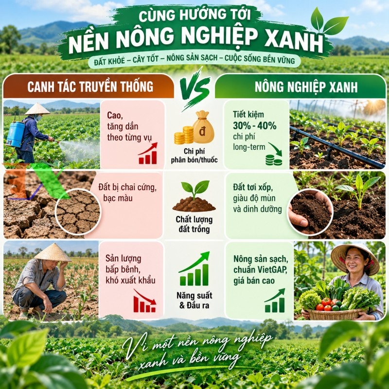 Hiệu quả Canh tác