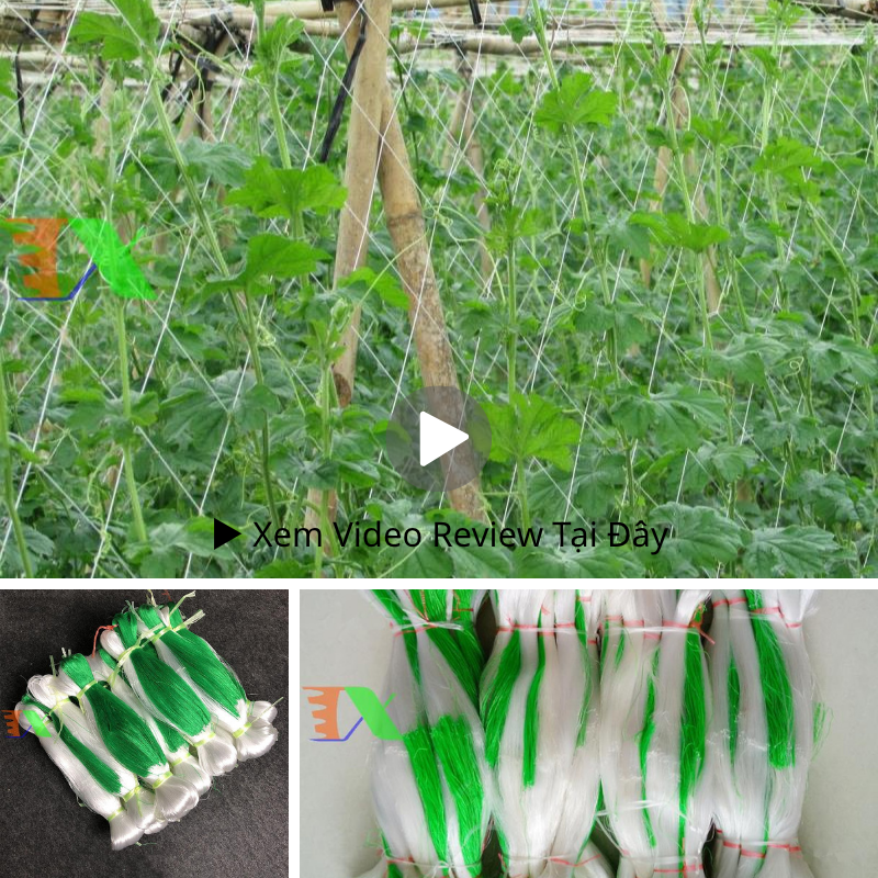 Lưới Làm Giàn Tháp Xanh