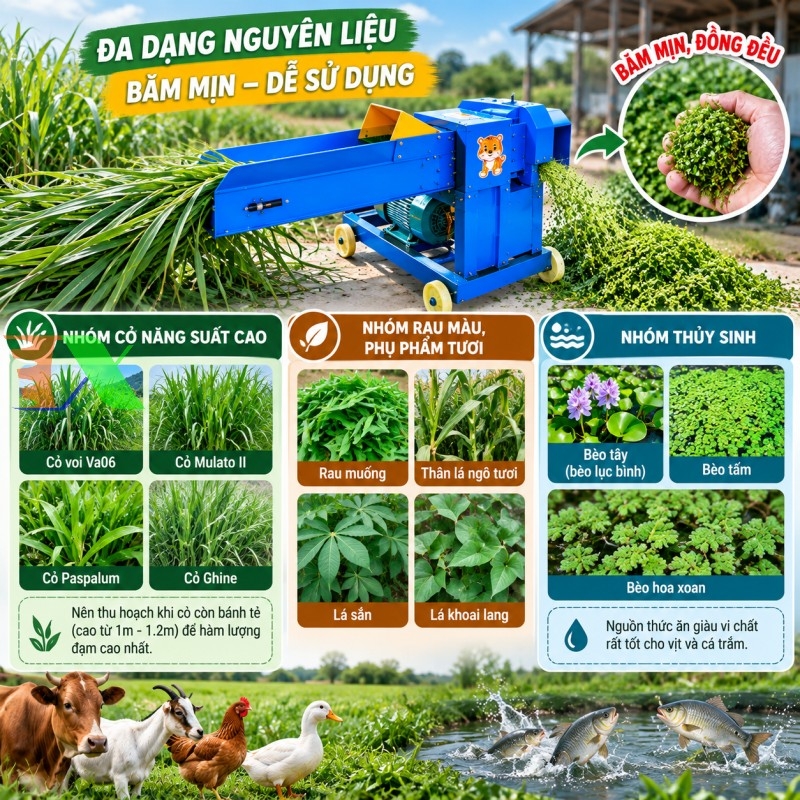 máy băm mịn cỏ băm mía