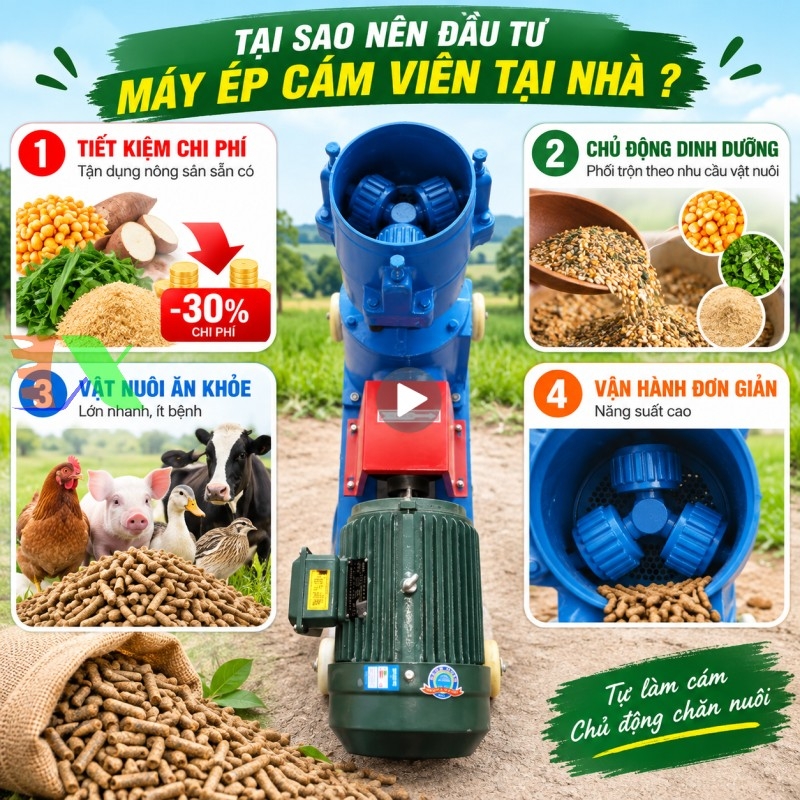 Đầu tư máy ép cám viên tại nhà 