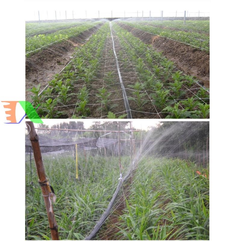 ống tưới, dây tưới phun mưa tháp xanh 