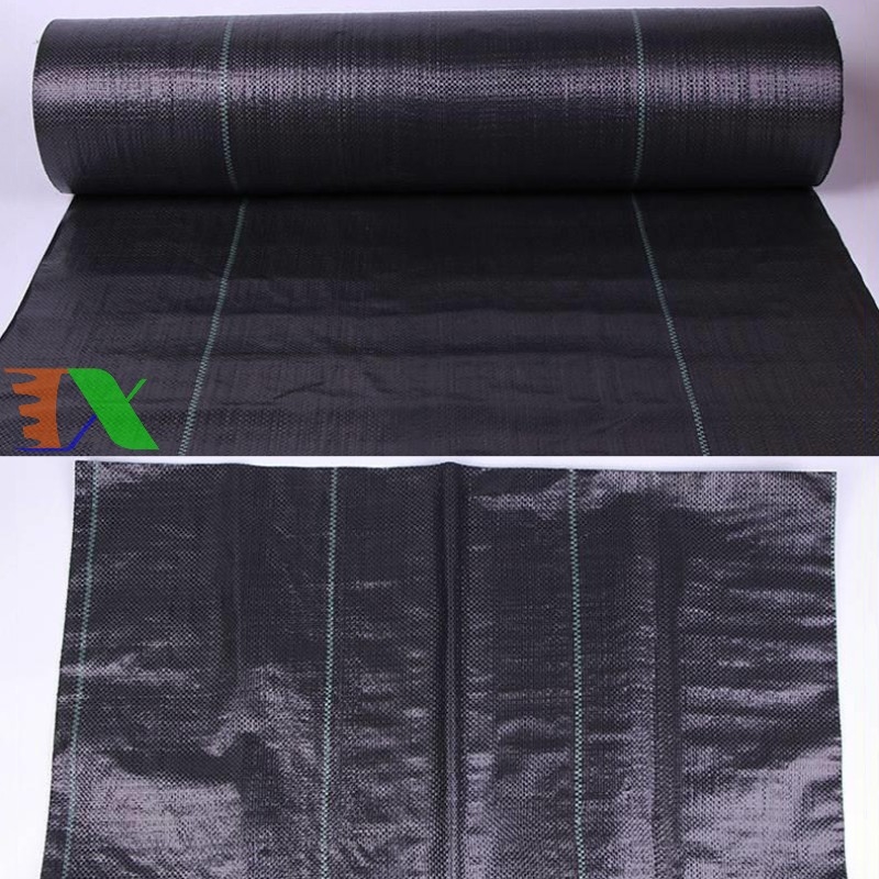 Bạt phủ cỏ Tháp Xanh