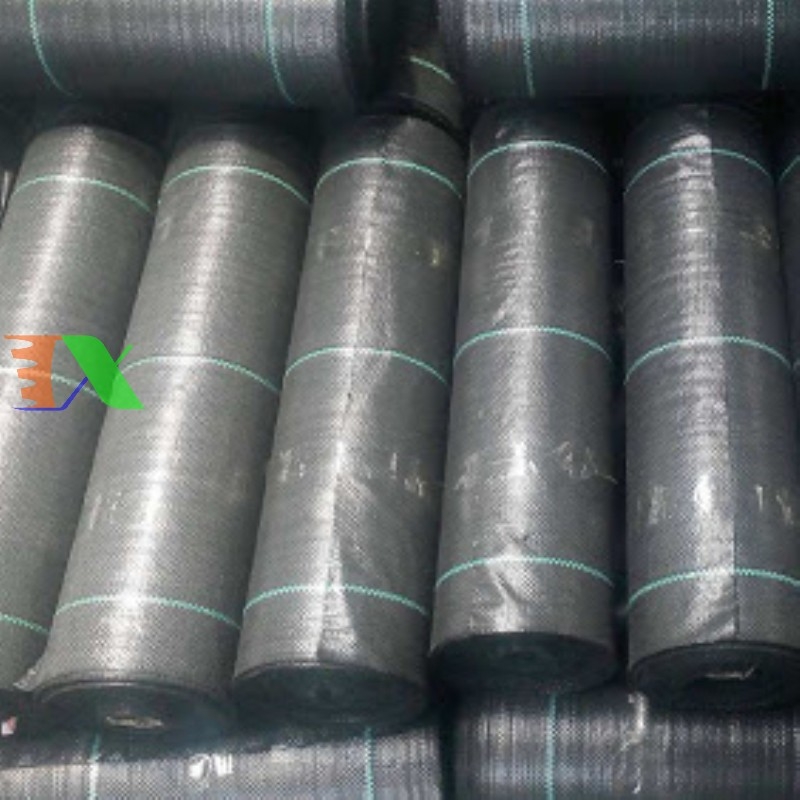 bạt phủ cỏ sẵn kho tháp xanh 