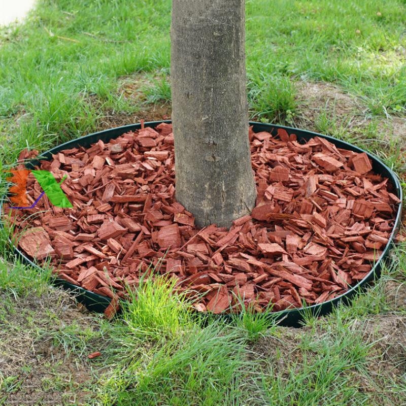 Đai chắn cỏ Tháp Xanh