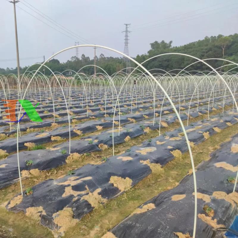 Khung vòm trồng rau, che mạ