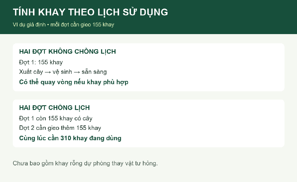 Sơ đồ kiểm tra lịch gieo và khả năng quay vòng khay