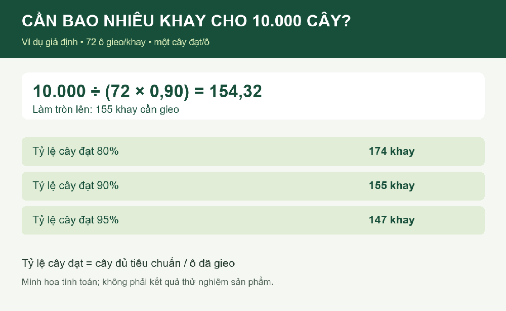 Ví dụ tính số khay ươm cho mục tiêu 10.000 cây